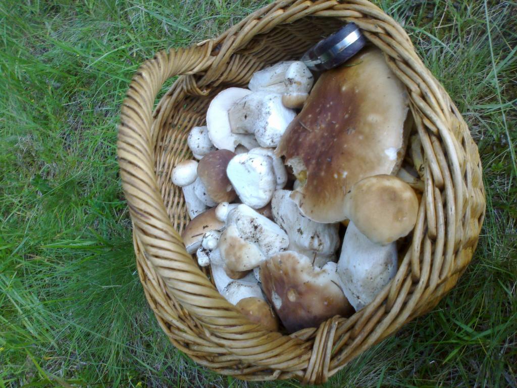 Penzion Pod Kycerou Zuberec Luaran gambar